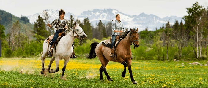 Confident plus-size woman riding Coleshill a horse through a field with a smile on her face.